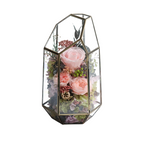 Rose in Glass Vase ｜Roselumi