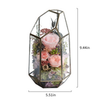 Rose in Glass Vase ｜Roselumi