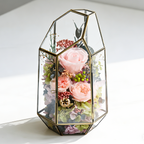 Rose in Glass Vase ｜Roselumi