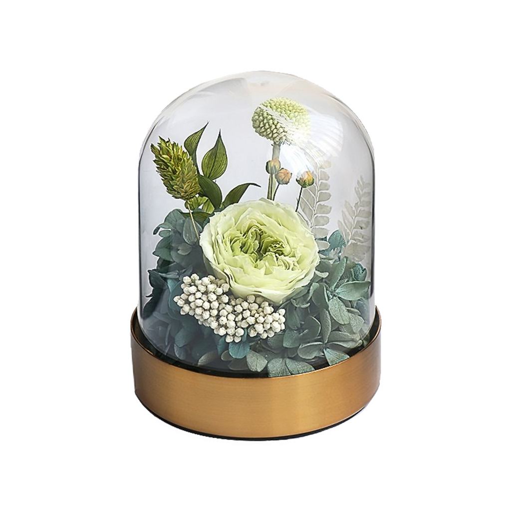 Austin Rose in Glass Cover | Roselumi