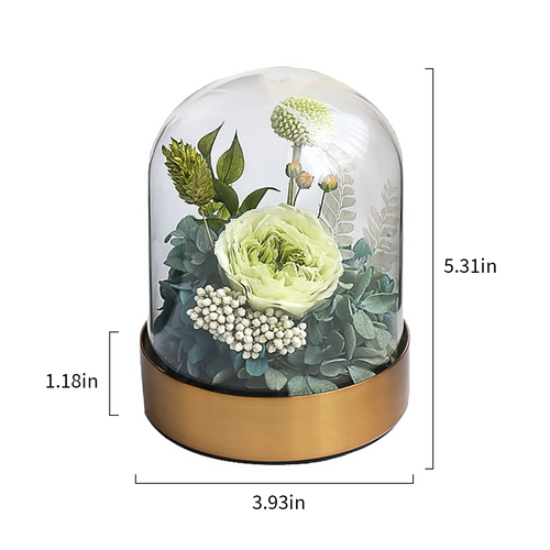 Austin Rose in Glass Cover | Roselumi