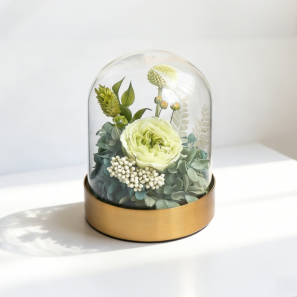 Austin Rose in Glass Cover | Roselumi