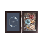 Rose in Photo Album Gift Set | Roselumi